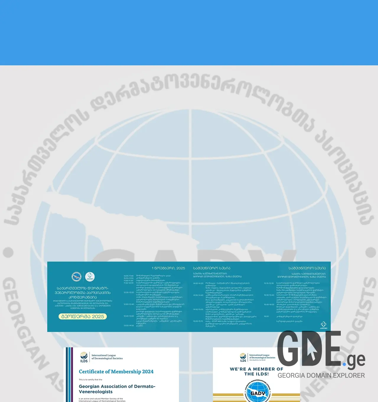 Screenshot of the site gadv.ge at 2025-11-30