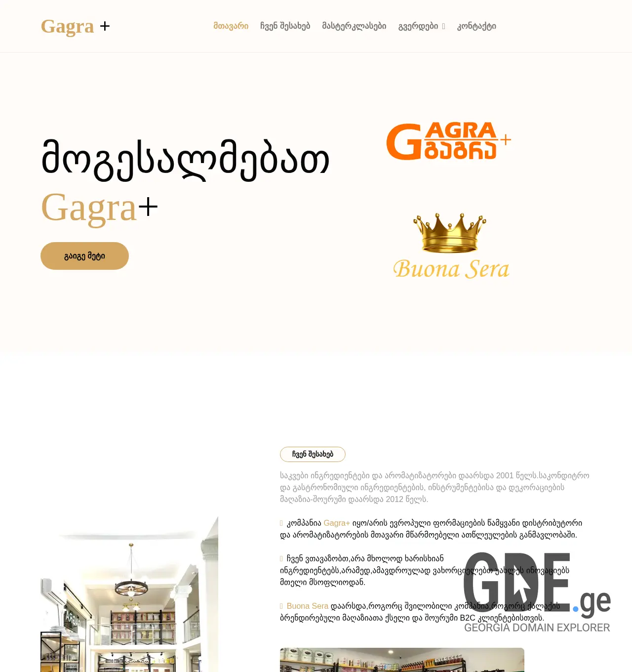 Screenshot of the site gagraplus.ge at 2025-12-02