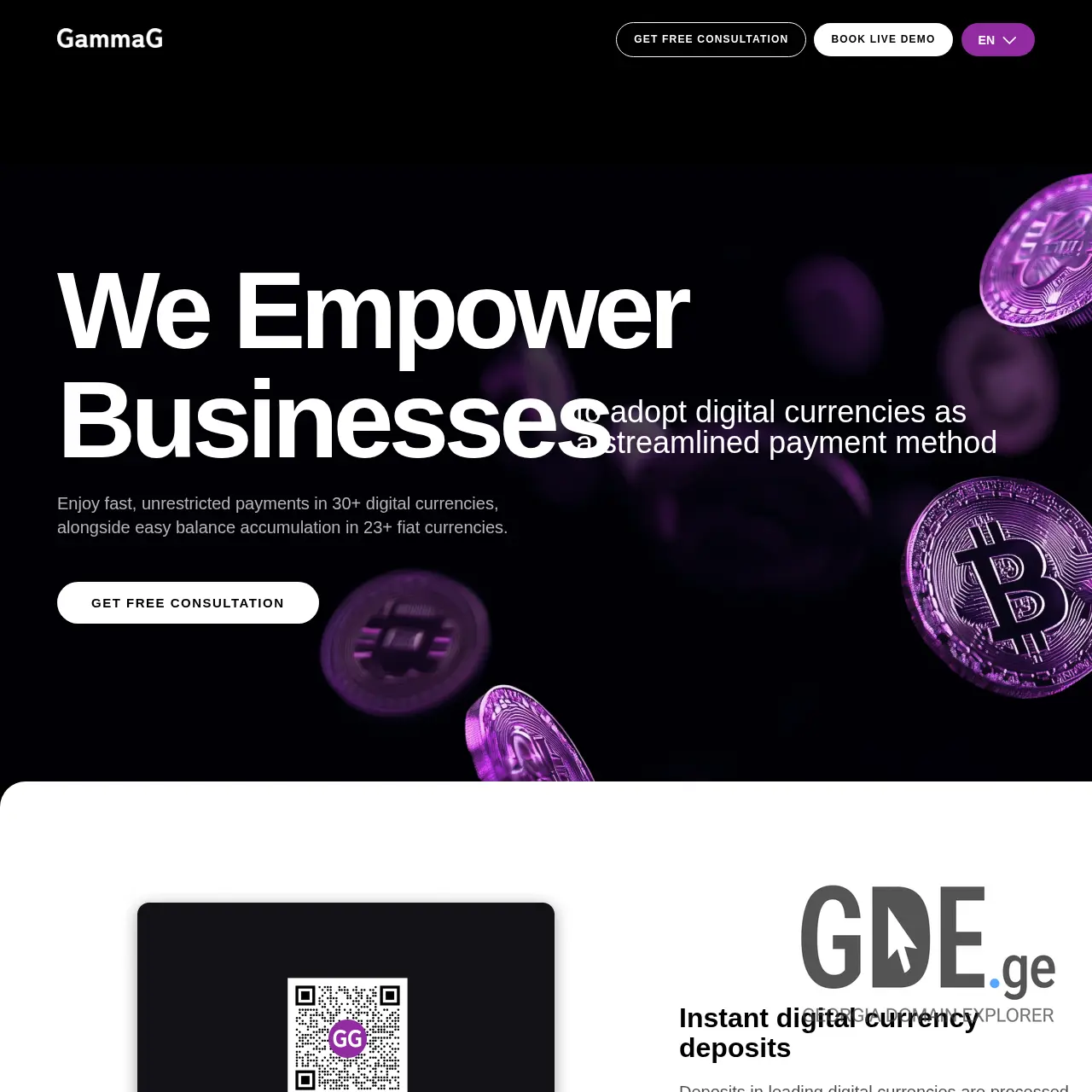 Screenshot of the site gammag.ge at 2025-12-10