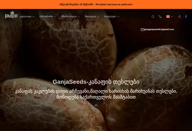 Preview from 18.12.2025