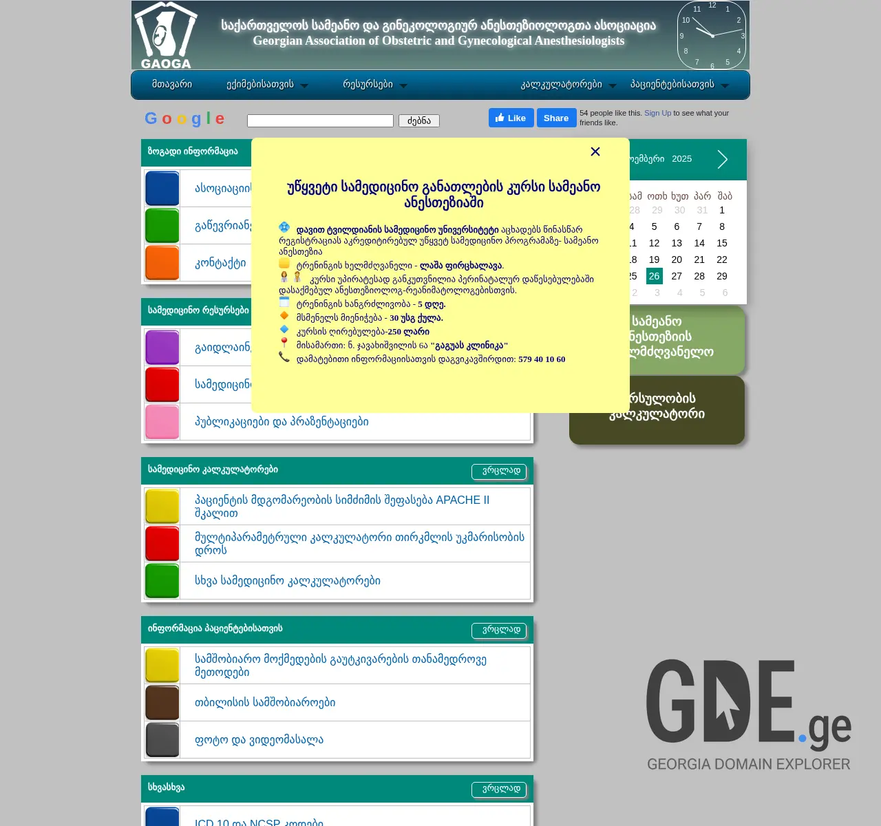 Screenshot of the site gaoga.org.ge at 2025-11-26