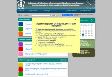 Screenshot of gaoga.org.ge