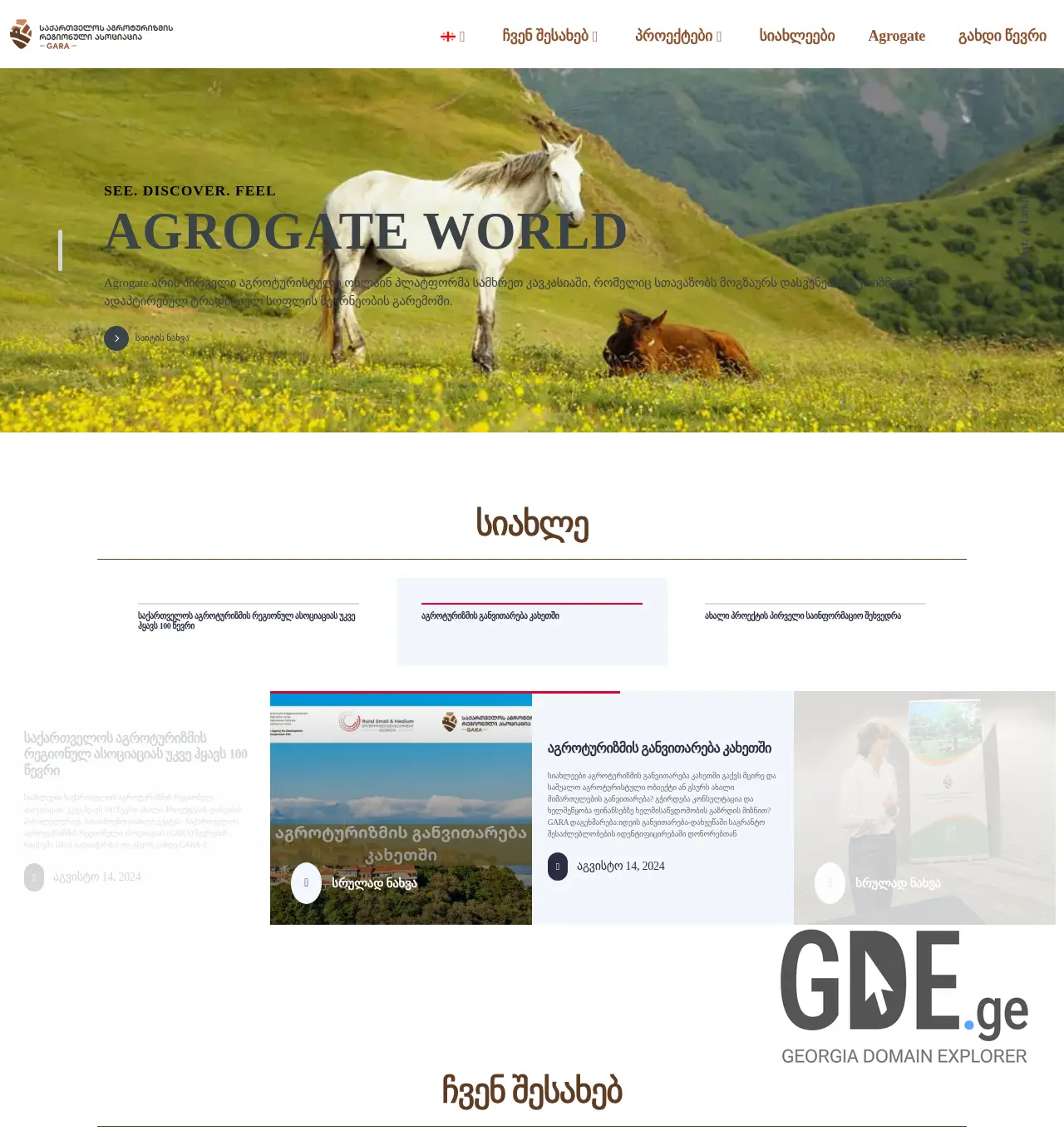 Screenshot of the site gara.org.ge at 2025-11-30