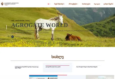 Скриншот gara.org.ge