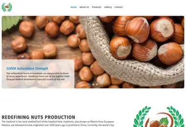 Screenshot of garantinuts.ge