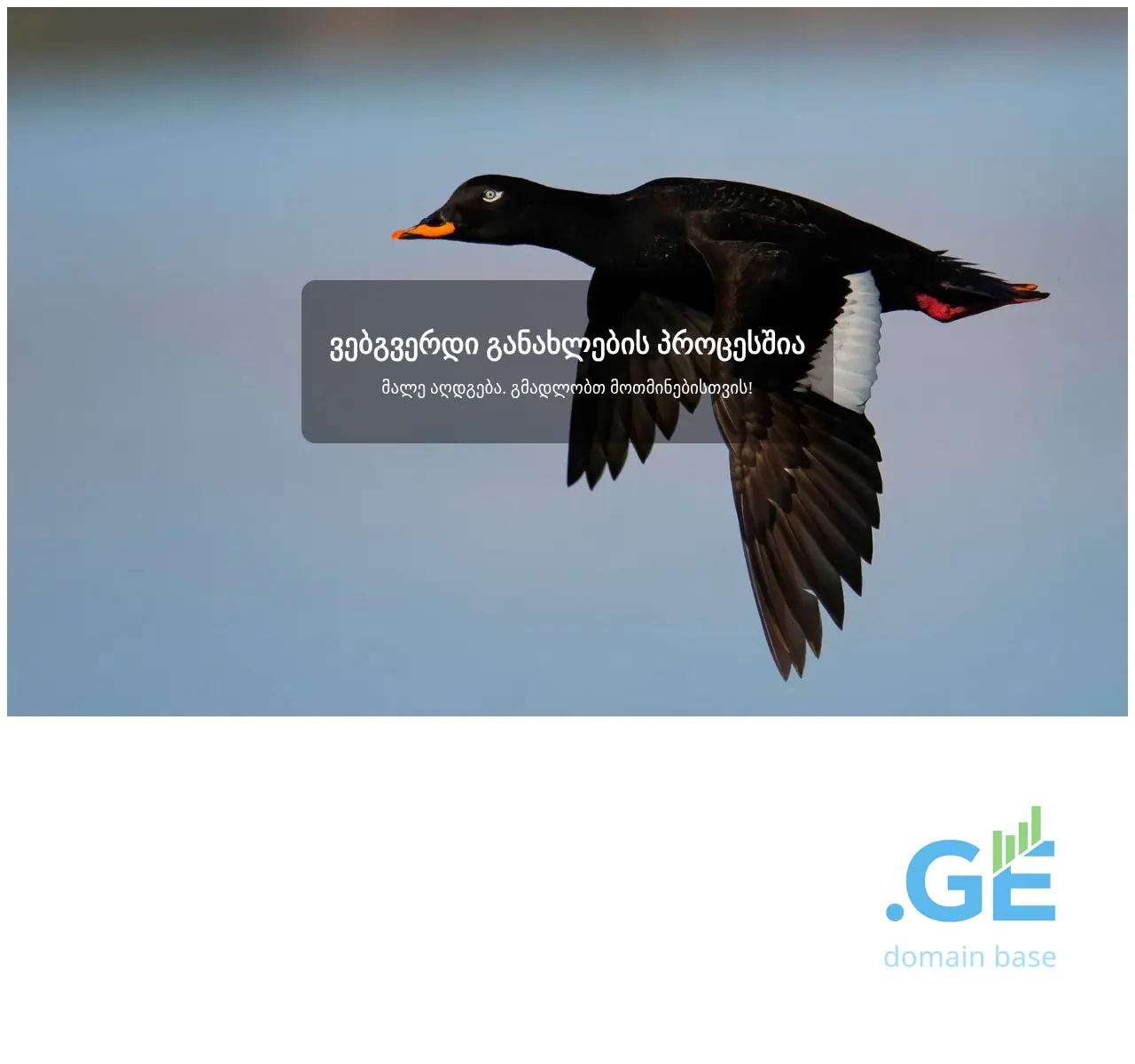 Screenshot of the site garieli.ge at 2025-10-27