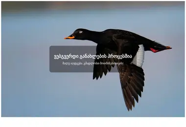 garieli.ge-ის ეკრანის სურათი