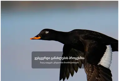 სურათი 15.12.2025-დან