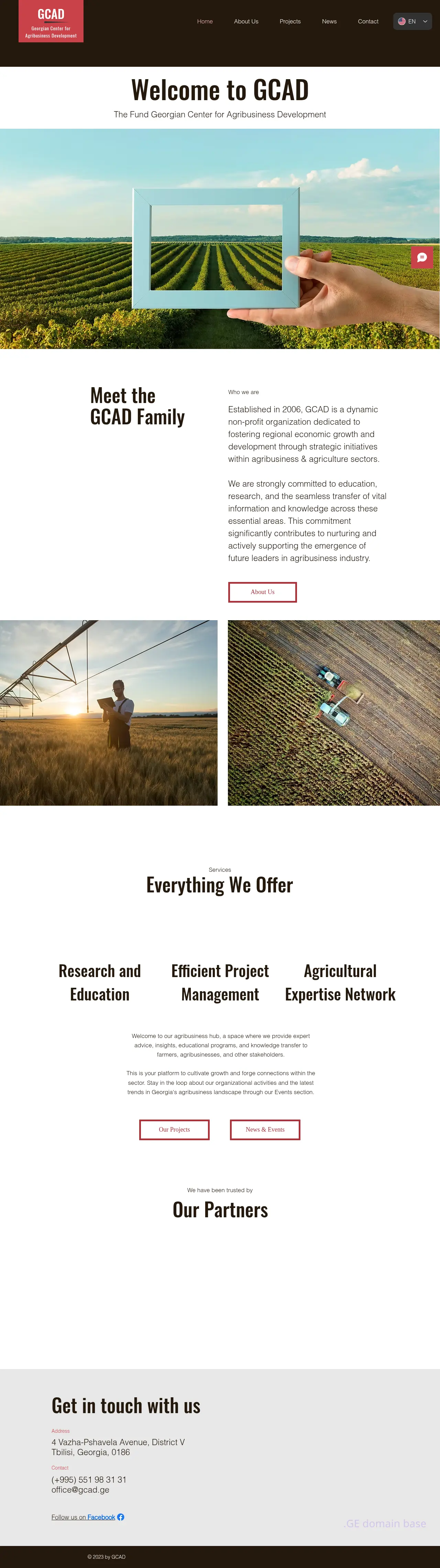 Screenshot of the site gcad.ge