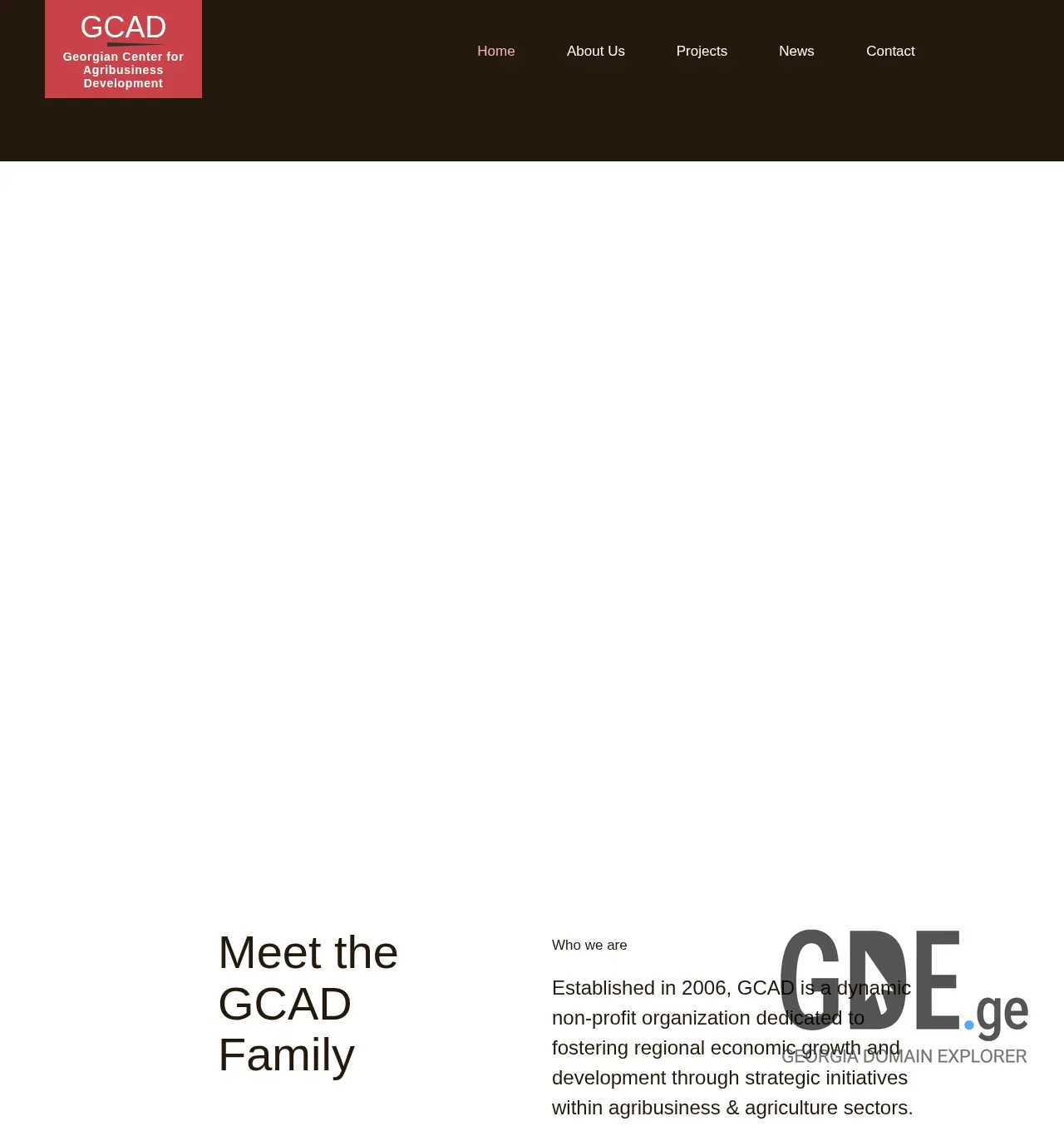 Screenshot of the site gcad.ge at 2025-12-02