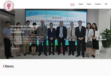 Screenshot of gcfa.ge