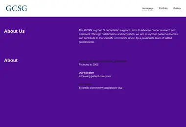 Скриншот gcsg.ge