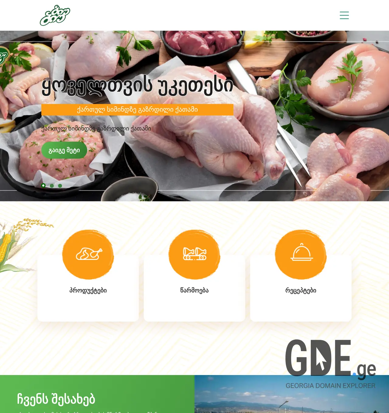 Screenshot of the site gdg.ge at 2025-11-30