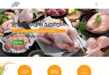 Скриншот gdg.ge