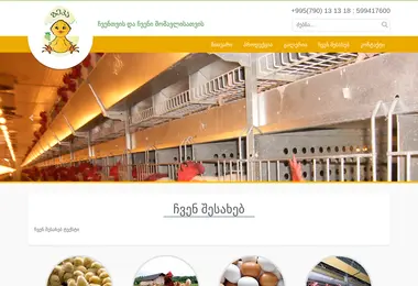 Скриншот geka.ge