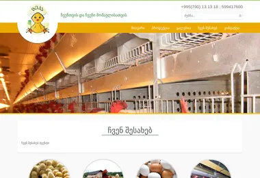 geka.ge-ის ეკრანის სურათი