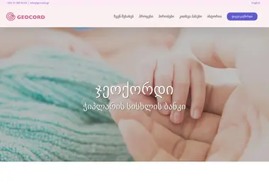 Screenshot of geocord.ge