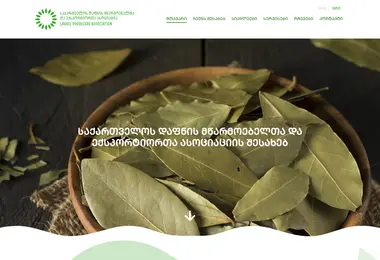 Screenshot of geodafna.ge