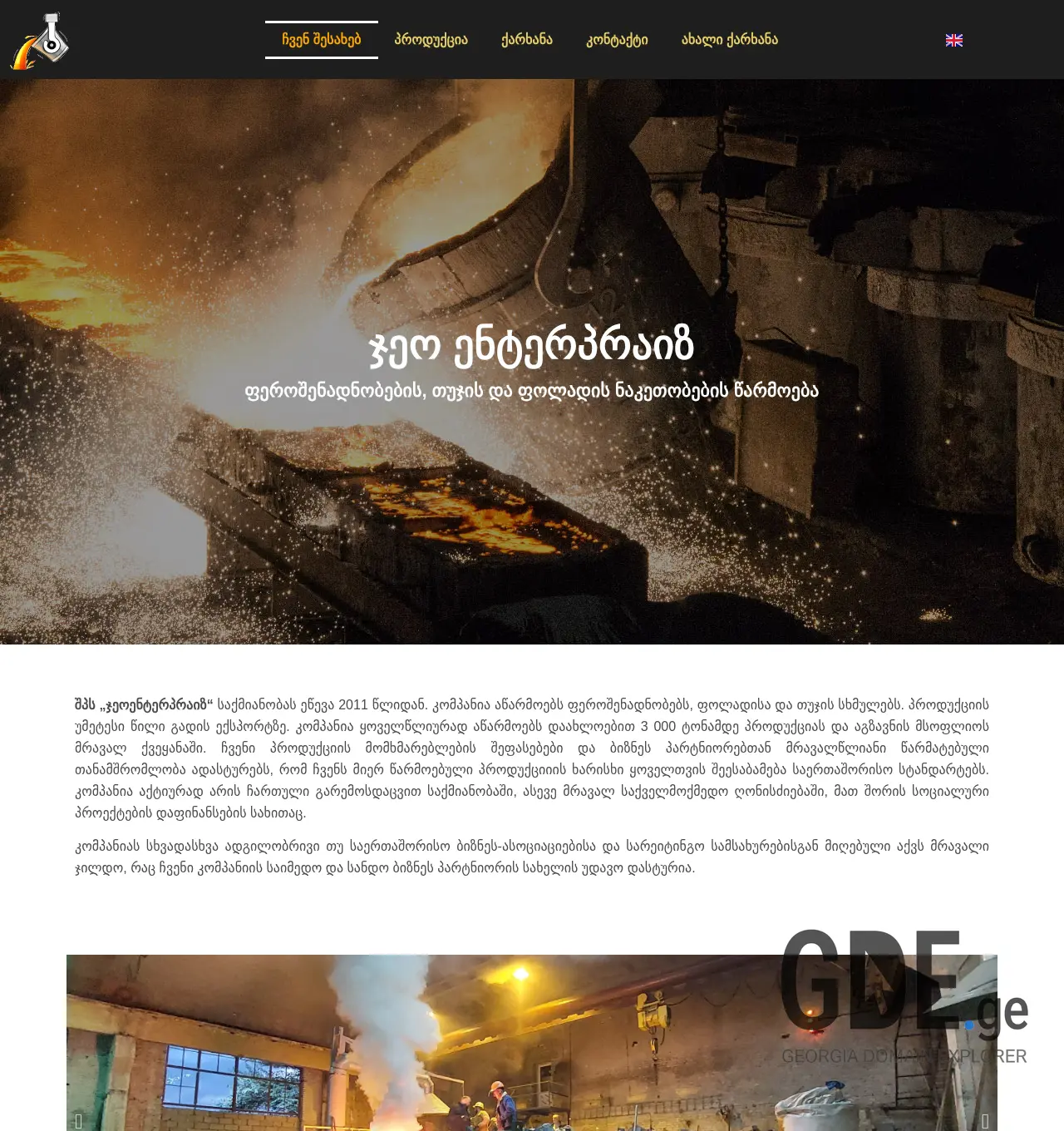 Screenshot of the site geoenterprise.com.ge at 2025-11-29