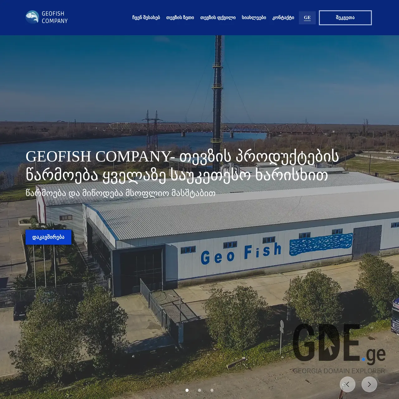 Screenshot of the site geofishcompany.ge at 2025-12-10
