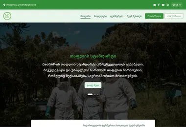 Screenshot of geogap.ge