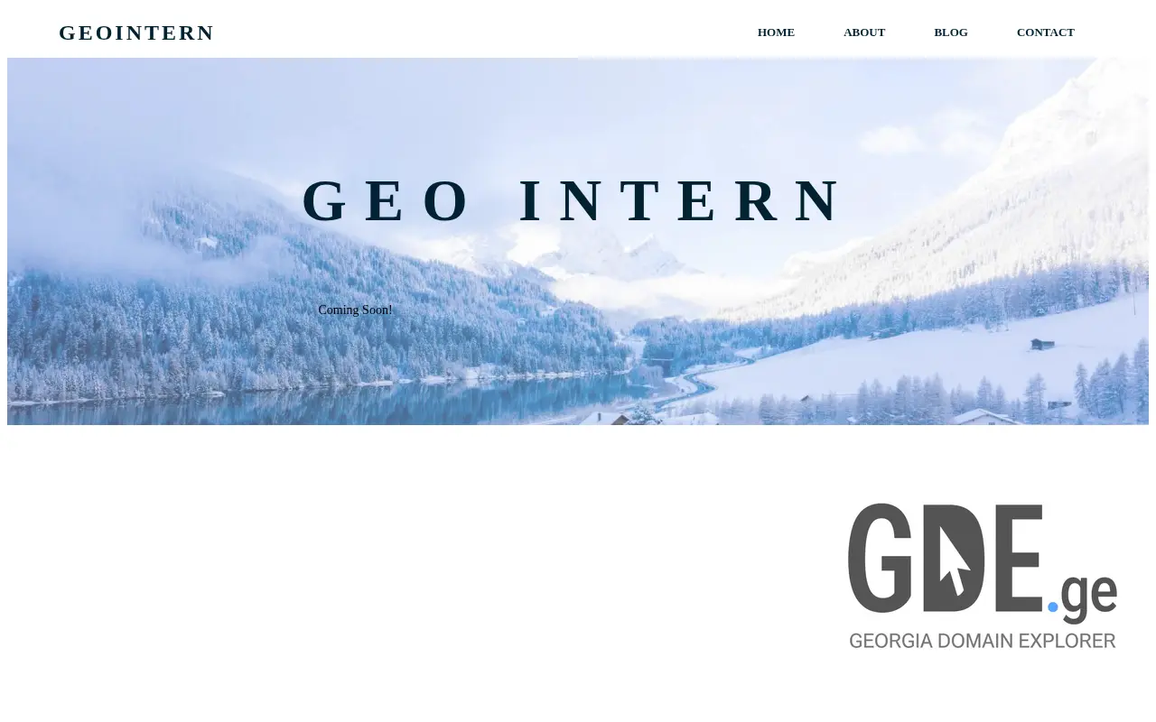 Screenshot of the site geointern.ge at 2025-11-28