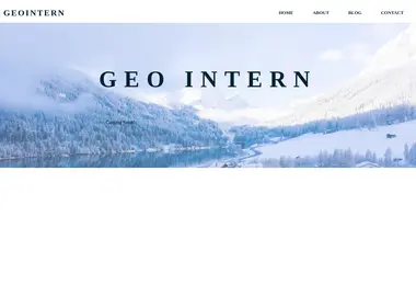 Скриншот geointern.ge
