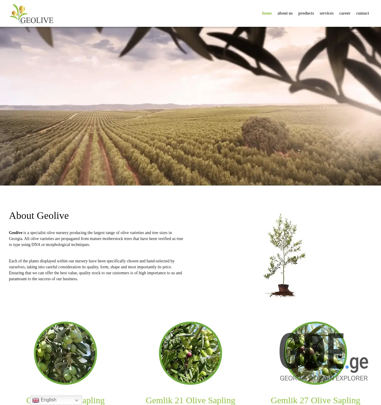 Screenshot of the site geolive.ge at 2025-12-02