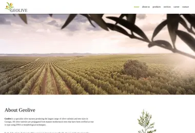 Preview from 02.12.2025