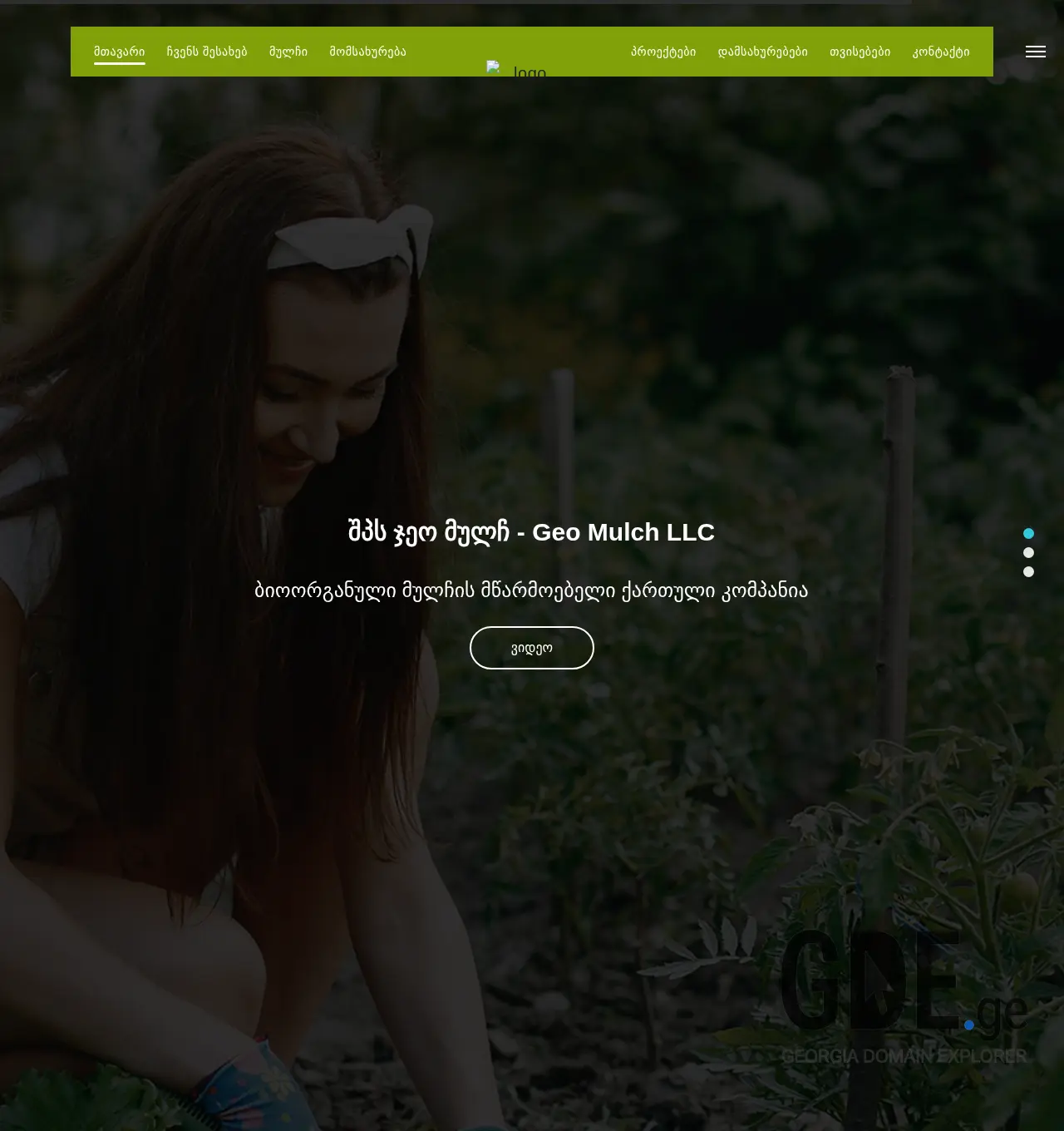 Screenshot of the site geomulch.ge at 2025-12-02