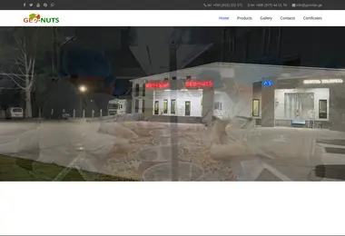 Скриншот geonuts.ge