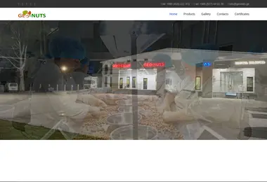 Screenshot of geonuts.ge