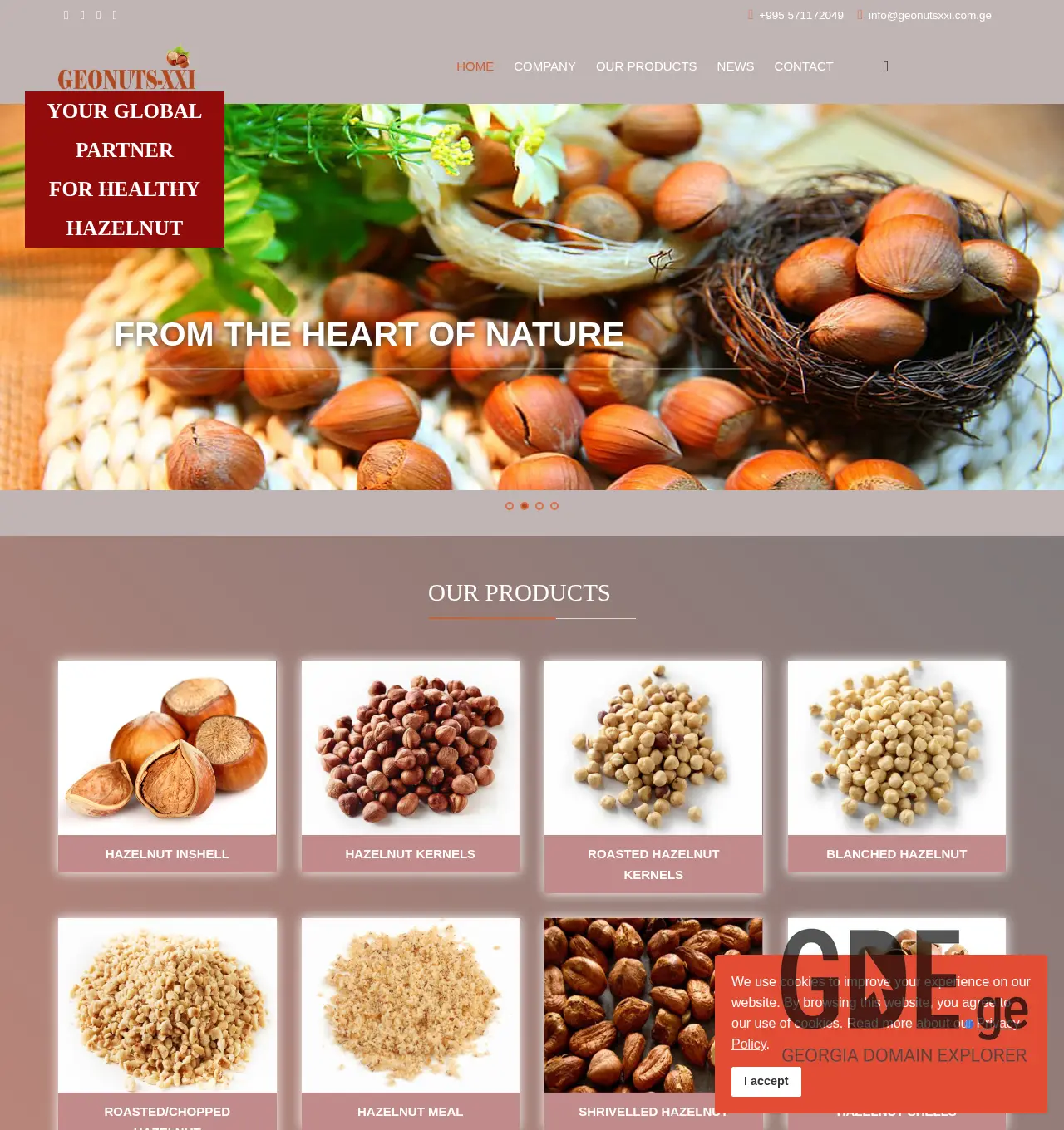 Screenshot of the site geonutsxxi.com.ge at 2025-11-29