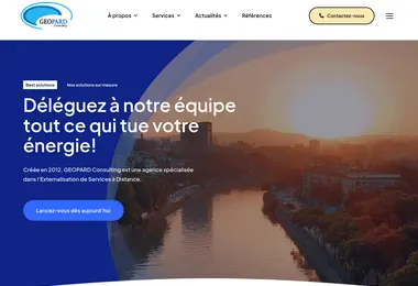 Screenshot of geopard.ge
