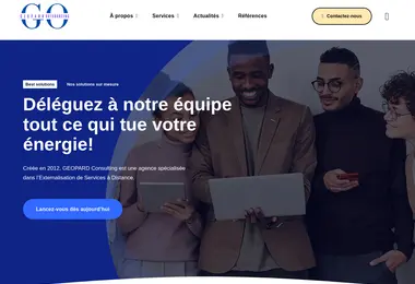 Скриншот geopard.ge