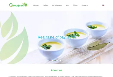 Screenshot of geopriprava.ge