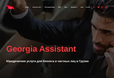 Screenshot of georgia-assistant.ge