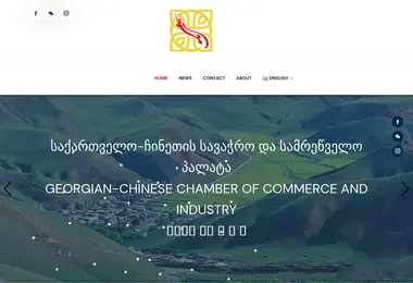 Screenshot of georgian-chinesecocai.ge