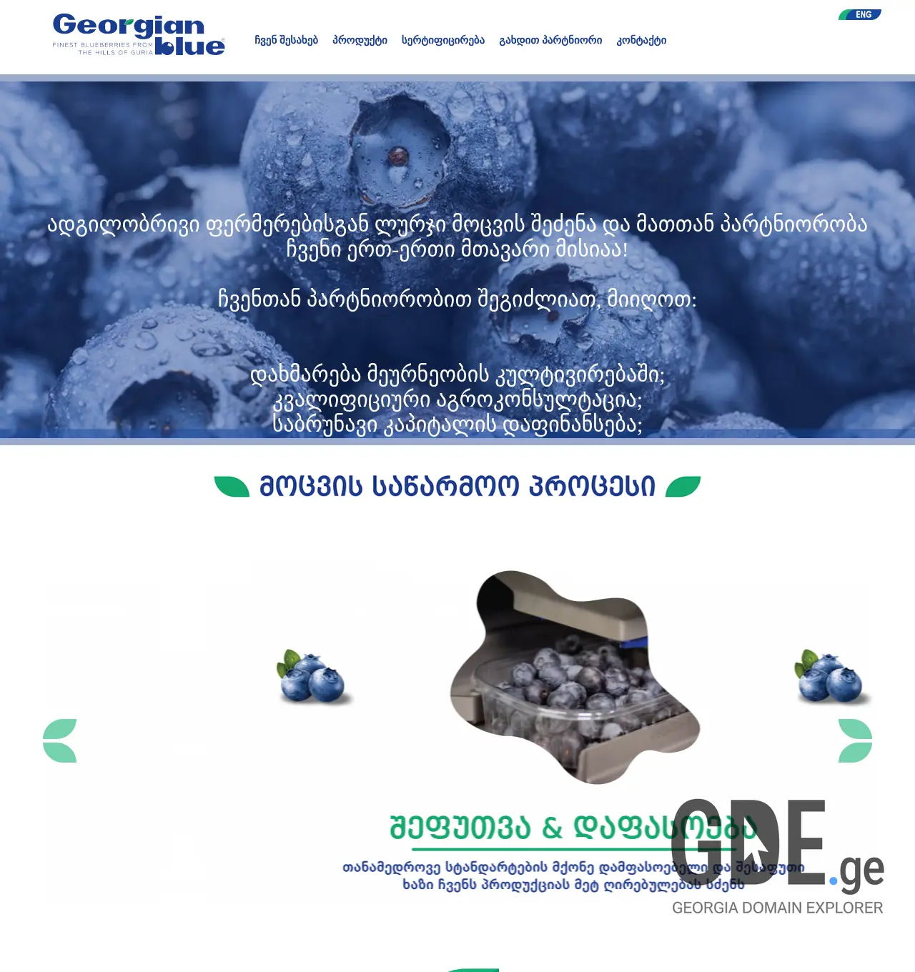 Screenshot of the site georgianblue.ge at 2025-11-30