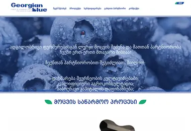 Скриншот georgianblue.ge
