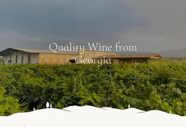 Screenshot of georgiancellar.ge