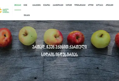 Screenshot of georgiancider.ge