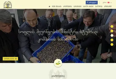 Screenshot of georgianolive.ge