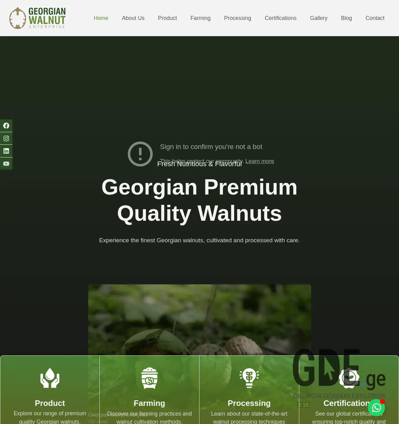 Screenshot of the site georgianwalnut.ge at 2025-11-30
