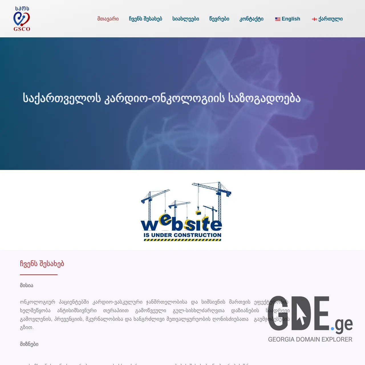 Screenshot of the site geosco.ge at 2025-12-10