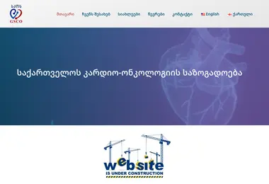 Screenshot of geosco.ge