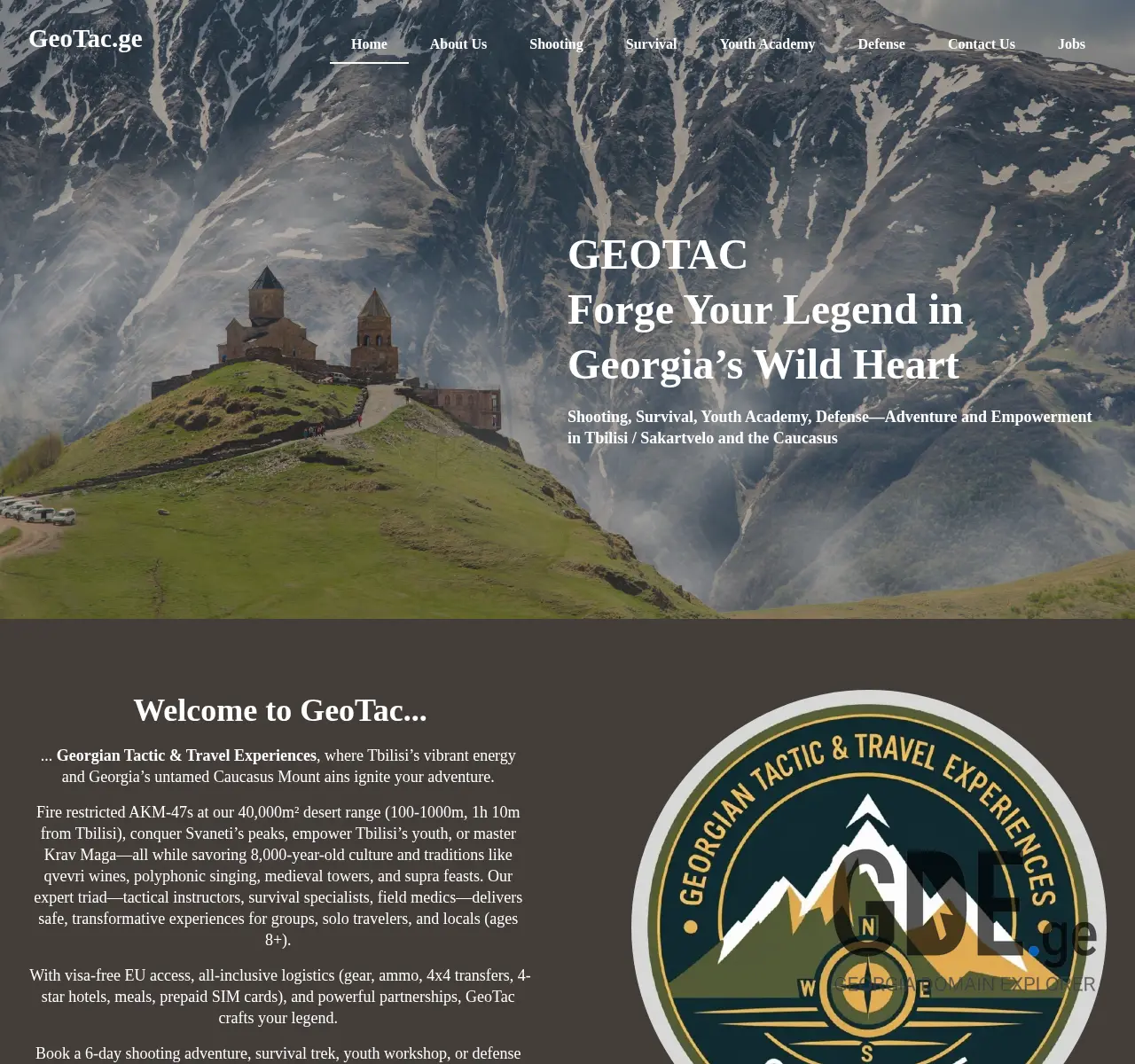 Screenshot of the site geotac.ge at 2025-11-24