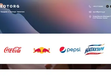 Screenshot of geotorg.ge