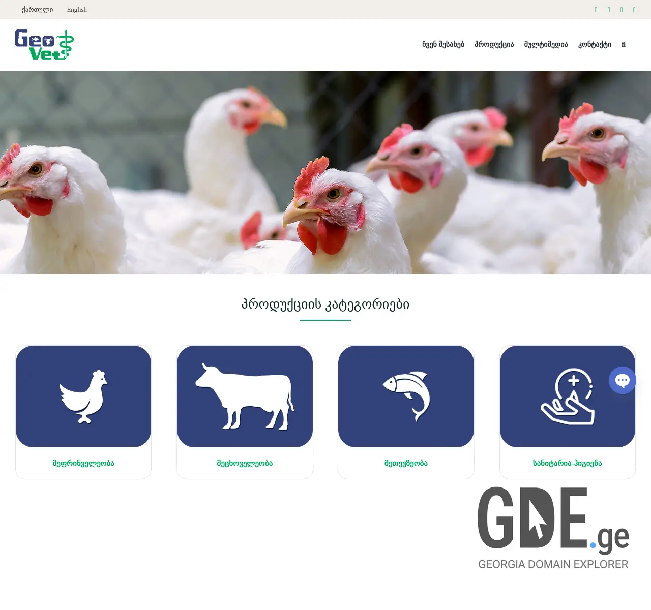 Screenshot of the site geovet.ge at 2025-11-25