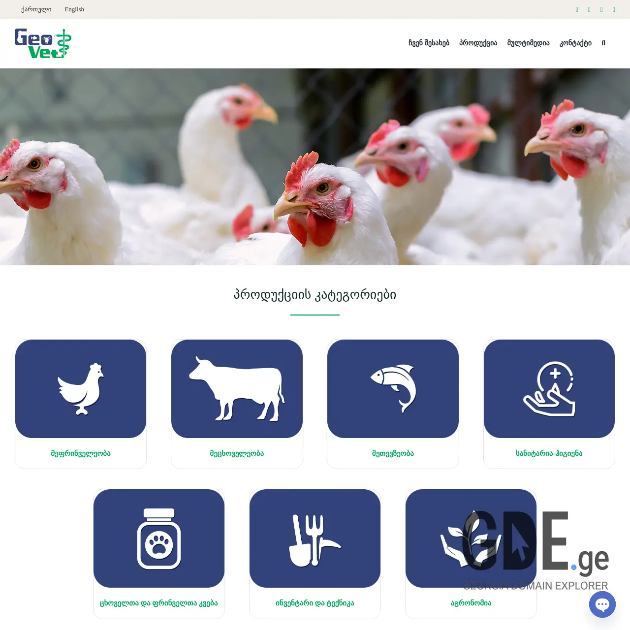 Screenshot of the site geovet.ge at 2025-12-15